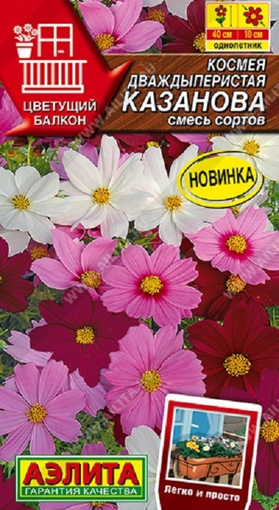 79ffea71b26d83f3588c1cbbbb393f2b