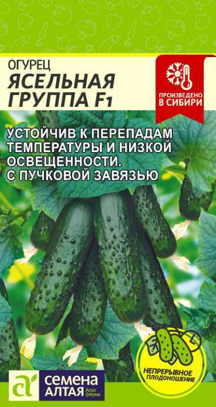 Семена Огурец Ясельная группа (Семена Алтая) 5шт