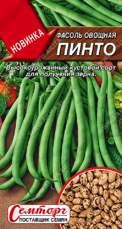 Семена Фасоль Пинто (Аэлита) 5г