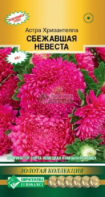 Семена Астра (Eurosamen) Сбежавшая невеста 5шт