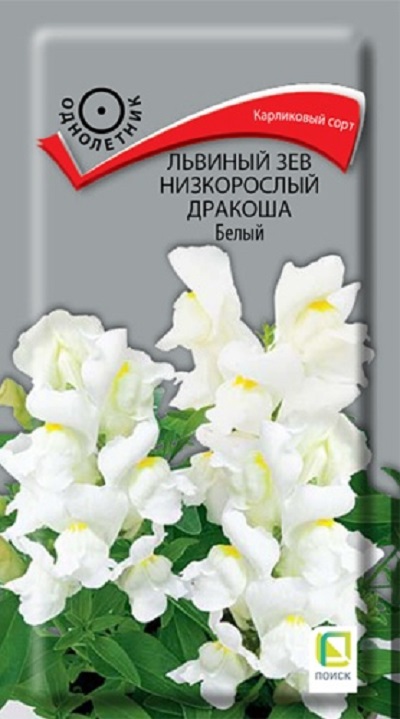 Семена Львиный зев (Поиск) Дракоша белый 0,02гр