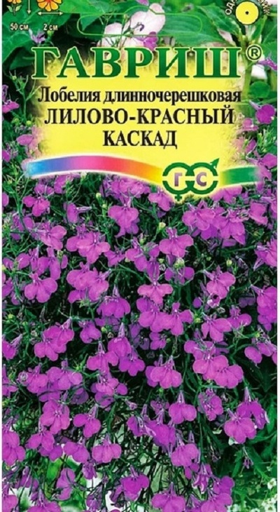b20bc8c24e5d49fa680536af11ab8f88