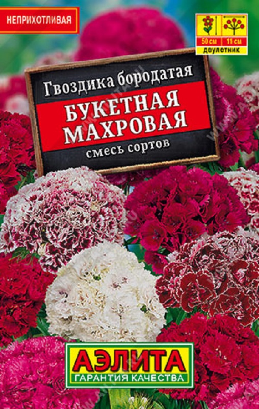 Семена Гвоздика (Аэлита) Букетная ЛИДЕР 0,1г