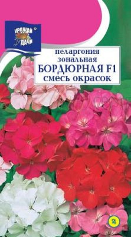 Семена Пеларгония (Урожай Удачи) Бордюрная смесь