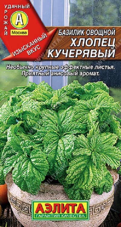 Семена Базилик Хлопец кучерявый (Аэлита) 0,2г