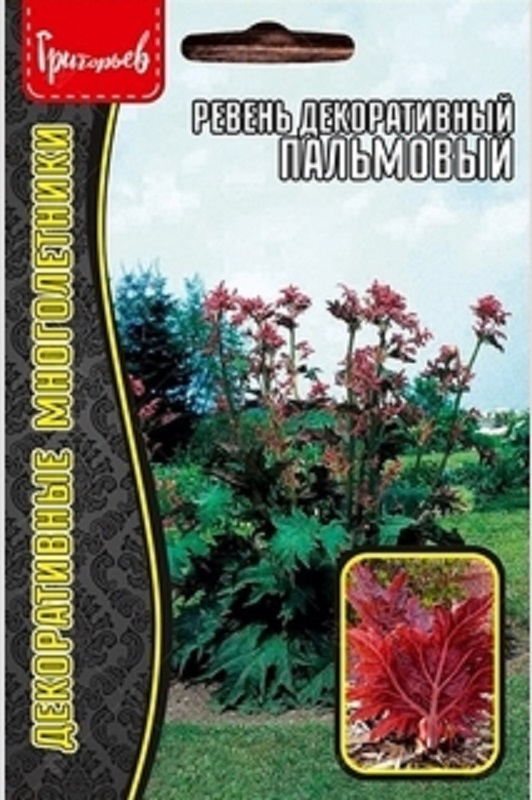 Семена Ревень (Редкие Семена) Пальмовый Декор 0,1г