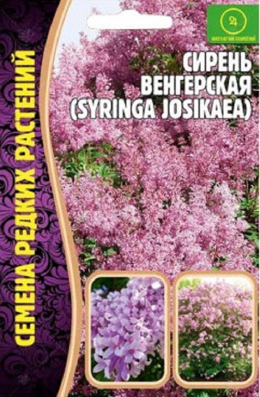 Семена Сирень (Редкие Семена) Венгерская 10шт
