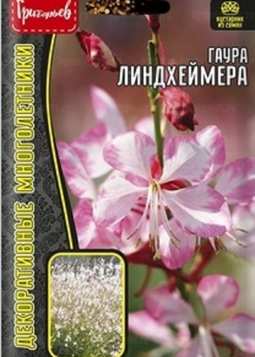 ef36aac7fd668019a0dce7ef97f84603