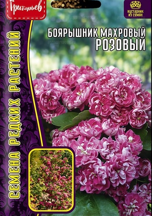 ef3806ef686711f78d4b485bbd73a20f