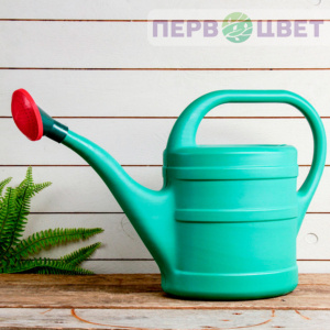 Лейки