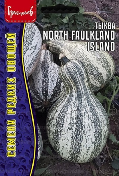 Семена Тыква Сквош на острове Северный Фолкленд North Faulkland Island Squash)(Редкие Семена) 3шт