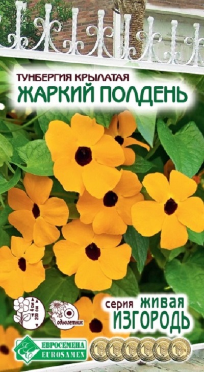 Семена Тунбергия (Eurosamen) Жаркий полдень 10шт.