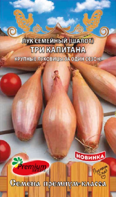 Семена Лук Три капитана (П.Сидс) шалот 0,1г