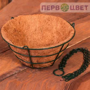 Коковиты