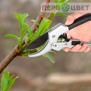 Режущий инструмент