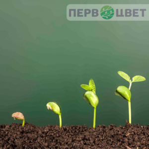 Стимуляторы роста