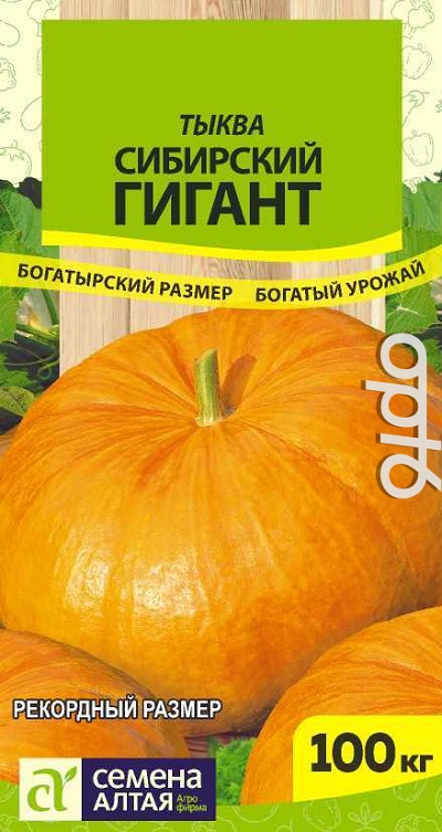 Семена Тыква Сибирский гигант (Семена Алтая) 2гр