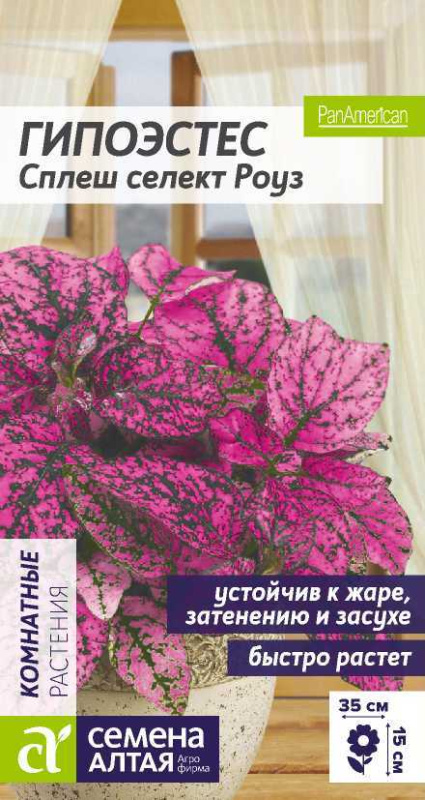Семена Гипоэстес (Семена Алтая) Сплэш селект Роуз 5шт
