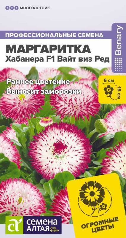 Семена Маргаритка (Семена Алтая) Хабанера Вайи виз Ред 5шт