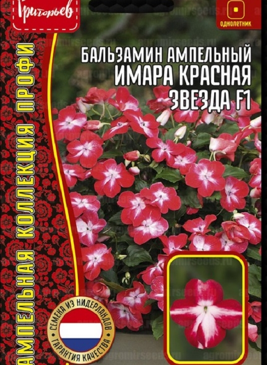 08ecb6bb1c2bc3dc44950b8d10f4eecd