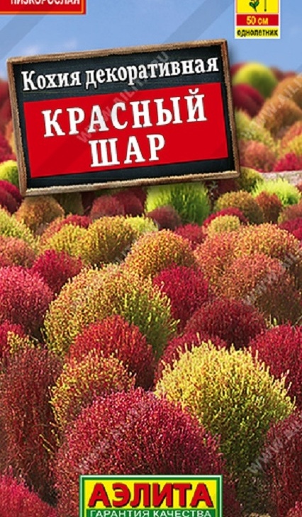 a89be63c08ce0f7cc1680539e4bfc76c