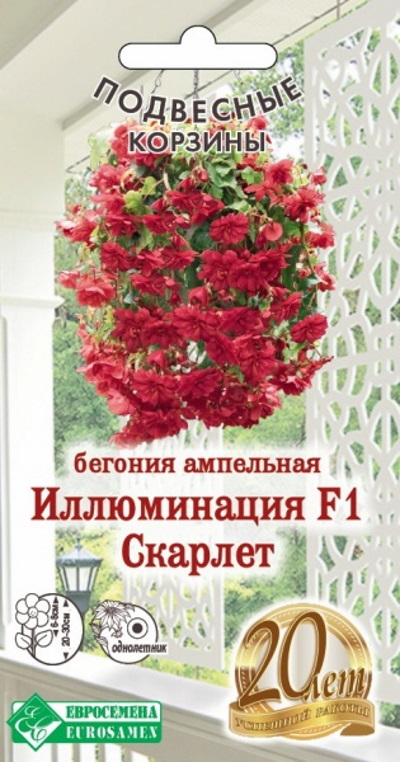 Семена Бегония (Eurosamen) Иллюминация Скарлет 5шт