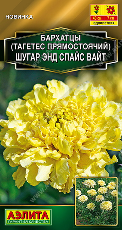 Семена Бархатцы Шугар энд спайс вайт (Аэлита) 10шт