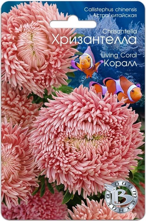 Семена Астра (Eurosamen) Хризантелла Живой коралл 5шт