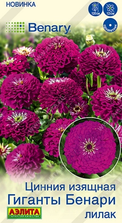 bdbe46cdcaa2711c53c05bddd04c8ca2