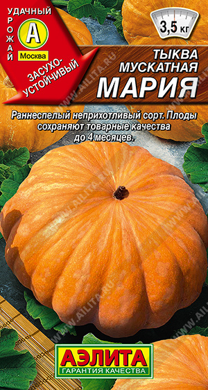 Семена Тыква Мария (Аэлита) 1г
