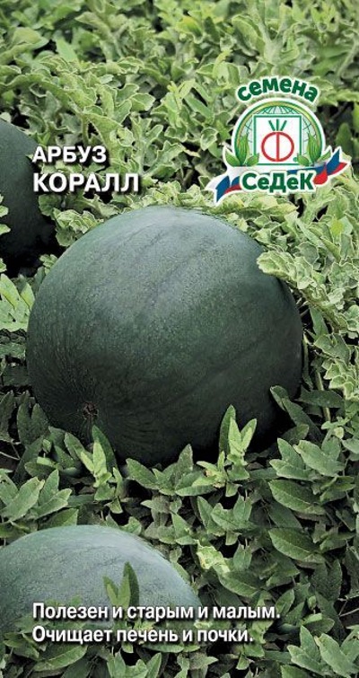 Семена Арбуз Коралл (Седек) 1г
