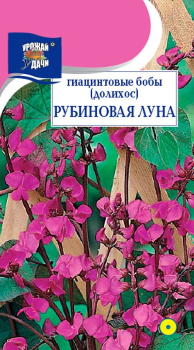Семена Бобы гиацинтовые (Урожай Удачи) Лунная соната