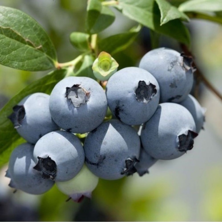 f0d9836591e695269b89dd860f421318