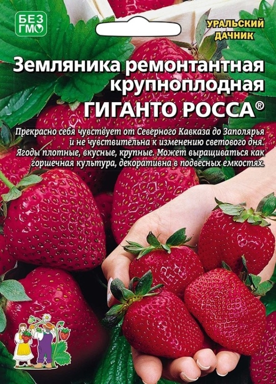 Семена Земляника Гиганто росса (УДачник)