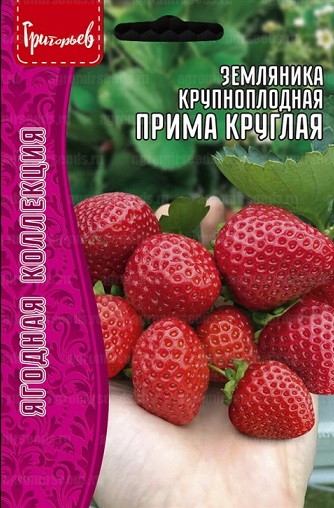 Семена Земляника Прима круглая (Редкие Семена) 20шт