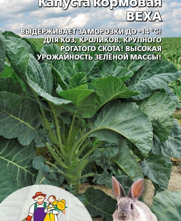ec8a4e63ad04835613d394c2e540c00e