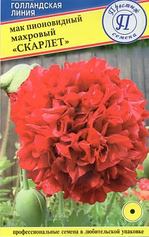 Семена Мак (Престиж) Скарлет 0,1гр