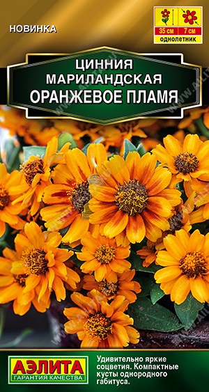 Семена Цинния Оранжевое пламя (Аэлита) мариландская 15шт