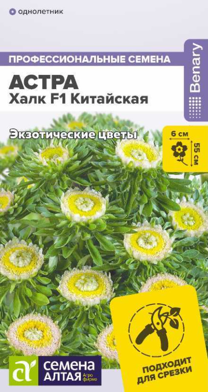 Семена Астра Халк (Семена Алтая) кит. 5шт