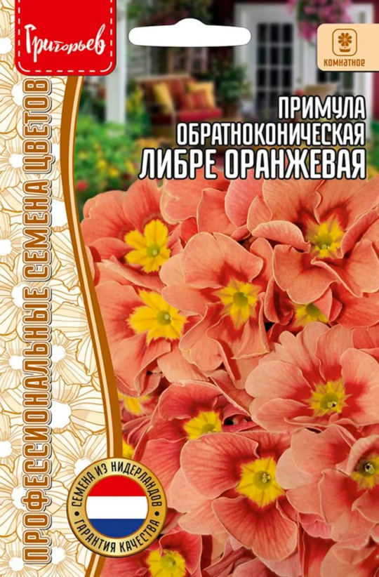 Семена Примула (Редкие Семена) Либре оранжевая 4шт