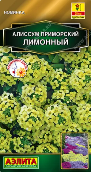 Семена Алиссум (Аэлита) Лимонный 0,1г