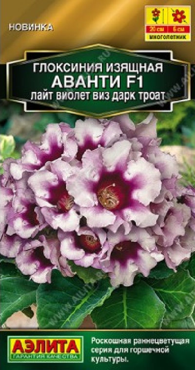 Семена Глоксиния (Аэлита) Аванти лайт виолет виз дарк троат 5шт