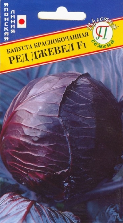 Семена Капуста к/к Ред Джевел (Престиж) 5шт