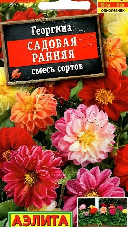 f933fb1457ef2271e7c02e3dfb4236d4
