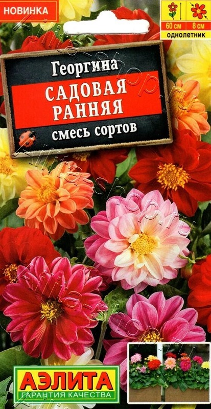 Семена Георгина (Аэлита) Садовая ранняя 0,3г