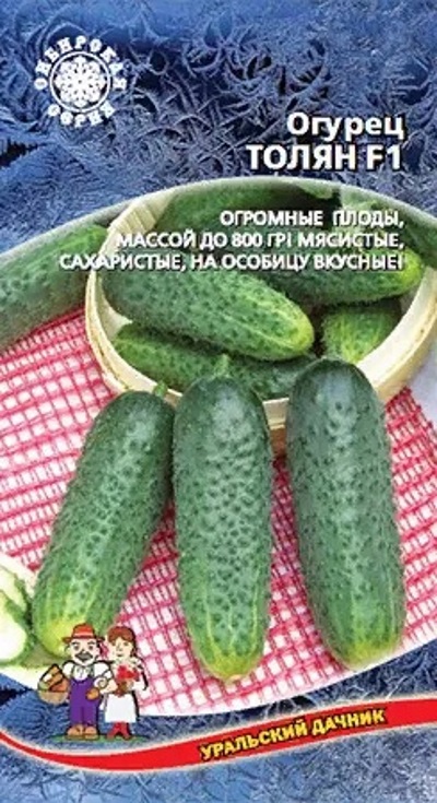 Семена Огурец Толян (УДачник)