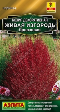 Семена Кохия (Аэлита) Живая изгородь бронзовая 0,1гр