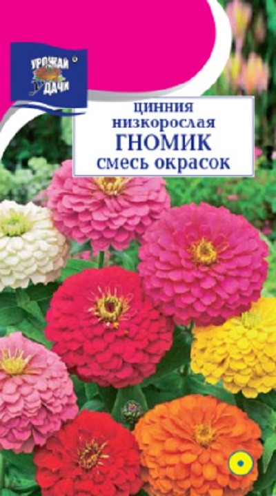 Семена Цинния Гномик (Урожай Удачи) Смесь