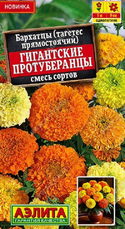 211dbd711c59d6ac453cf2a028cb33d5