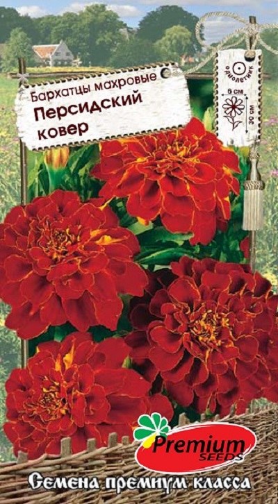 Семена Бархатцы Шоколадный ковер (П.Сидс) 0,2г
